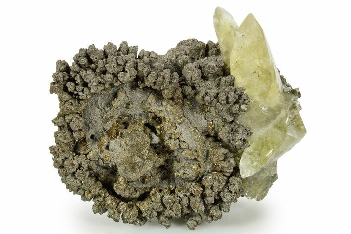 Glossy Yellow Calcite Crystals on Brassy Chalcopyrite - Missouri #362891